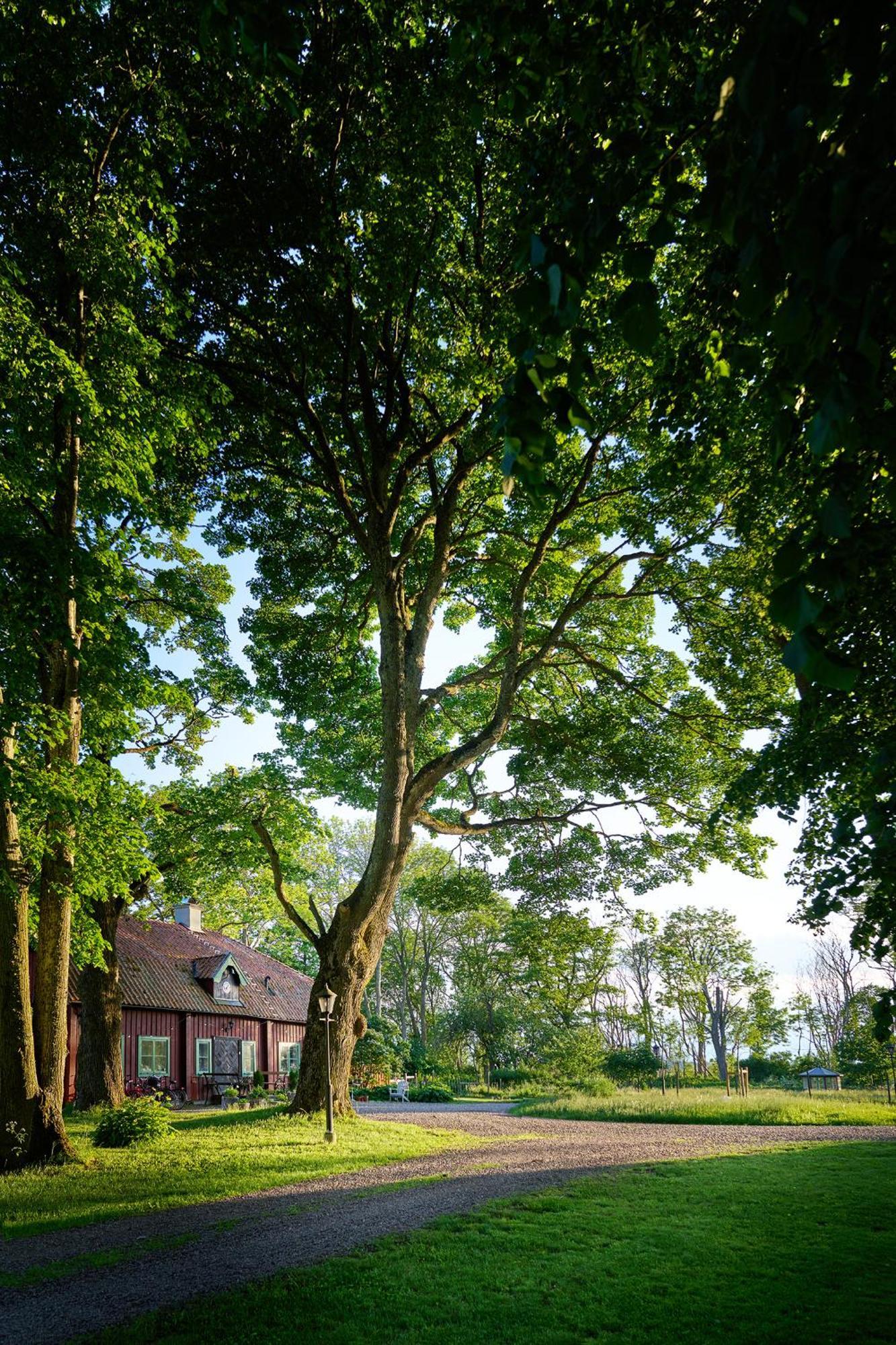 Kungs Starby Gard Bed And Breakfast Vadstena Buitenkant foto